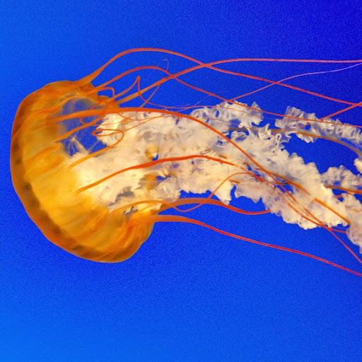 Juan Sandoval Photo 21