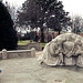 Elizabeth Ingram Photo 43