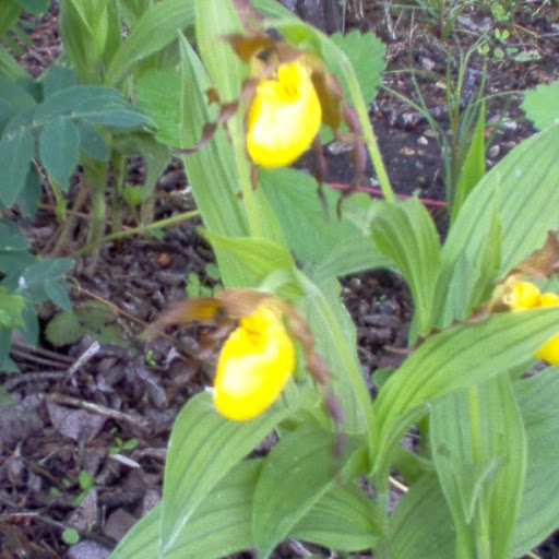 Matilda Hall Photo 4