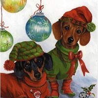 Ann Sylvester Photo 10