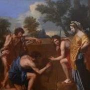 Michael Defalco Photo 19