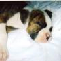 Kelly Clevenger Photo 7