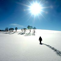 Arthur Shepard Photo 8