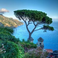 Warren Short Photo 11