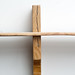 Jason Burton Photo 32