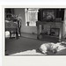 Lorraine Simpson Photo 17