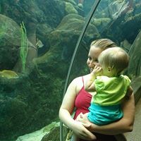 Rachel Lindstrom Photo 11