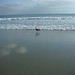 Therese Fitzgerald Photo 30