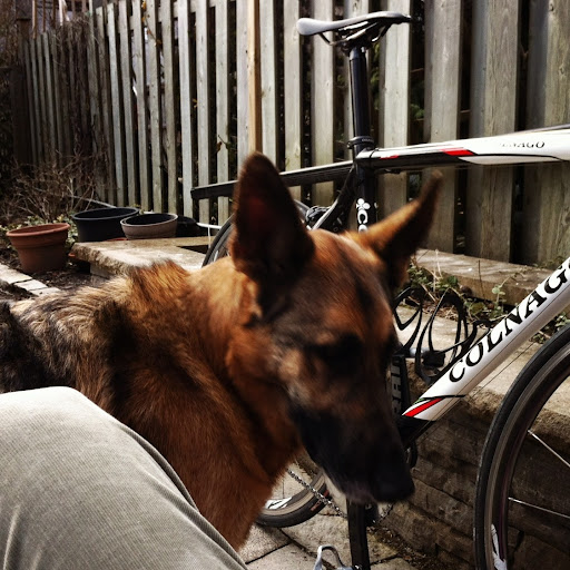 Geoffrey Morgan Photo 30