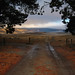 Dawn Dickinson Photo 37