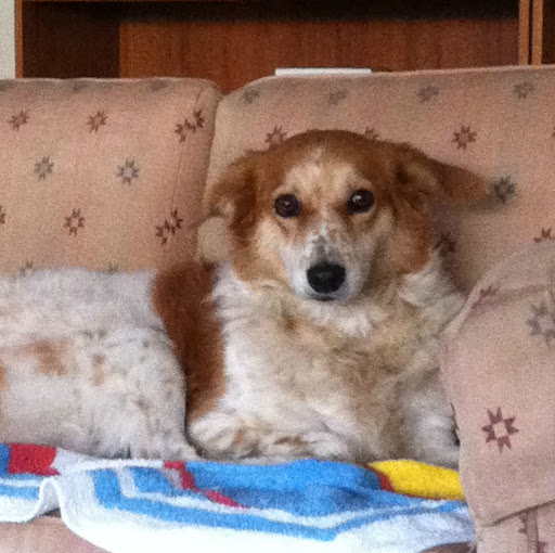 Janice Wilkins Photo 23