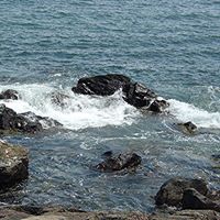 Suzanne Connor Photo 19