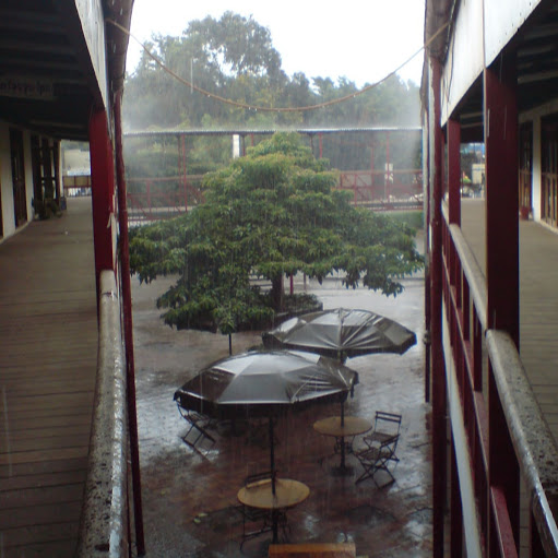 Thomas Baran Photo 5