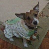 Ellen Maddy Photo 3
