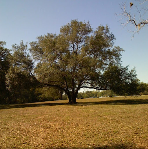 Timothy Sullivan Photo 59