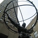 Rene Rich Photo 9