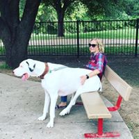 Lori Whitlock Photo 22