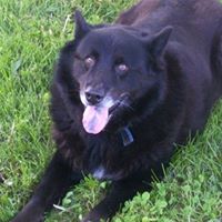 Clark Abbott Photo 8