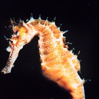 Nancy Zeigler Photo 23