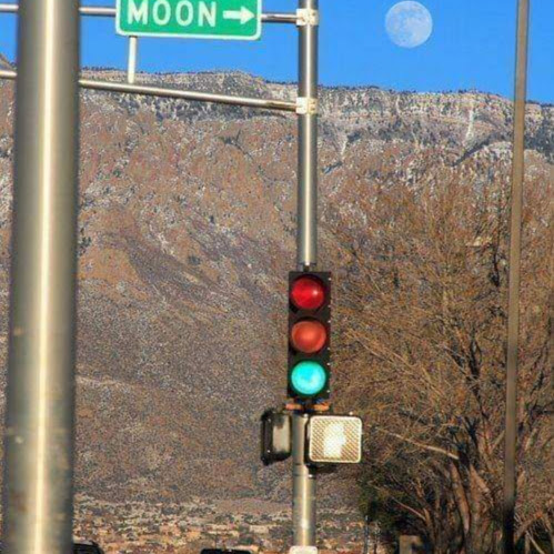 Kumar Krishnan Photo 28