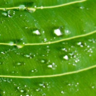 April Bauer Photo 20