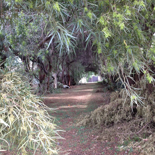 Myrna Sherman Photo 16