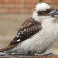 Frances Browning Photo 30