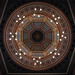 Dan Bradford Photo 19