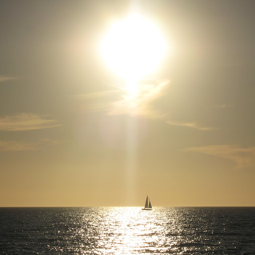 Ruth Mcdonnell Photo 16