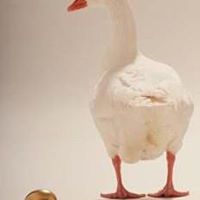 Derrick Shepherd Photo 14 Derrick Shepherd Photo 14