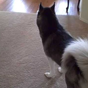 Stephanie Locklear Photo 5