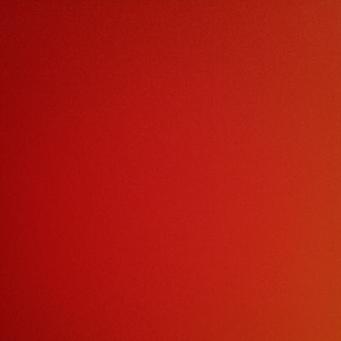 Cindi Stephens Photo 2