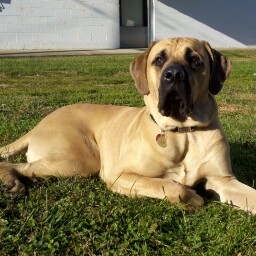 Derrick Reed Photo 33