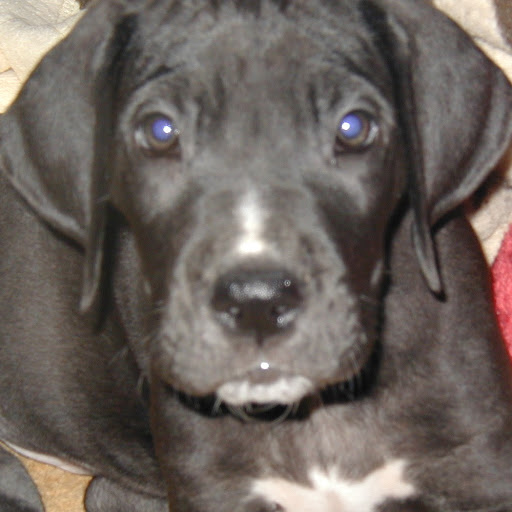 Sharon Graham Photo 6