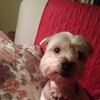 Dotty Martin Photo 14