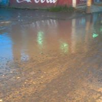 Rex King Photo 17 Rex King Photo 17