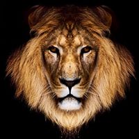 Larry Colwell Photo 9