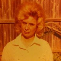 Gordon Campbell Photo 34