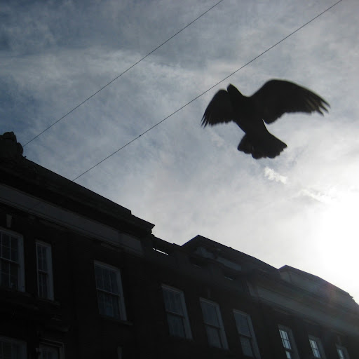 Catherine Knowles Photo 32