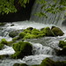 James Trout Photo 6
