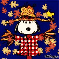 Christy Sharpe Photo 9