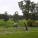 Victoria Sutton Photo 37