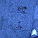 Jodi Roof Photo 12
