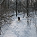 Kelly Hobbs Photo 12