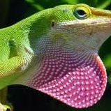 Larry Shepard Photo 14