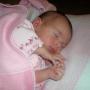 Shelly Tanner Photo 15