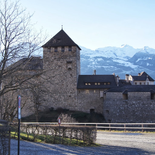 Dianne Erickson Photo 15