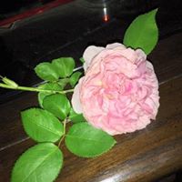 Kathy Novak Photo 34 Kathy Novak Photo 34