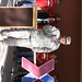 Steven Collier Photo 28