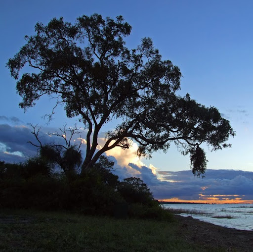 Debbie Prince Photo 36